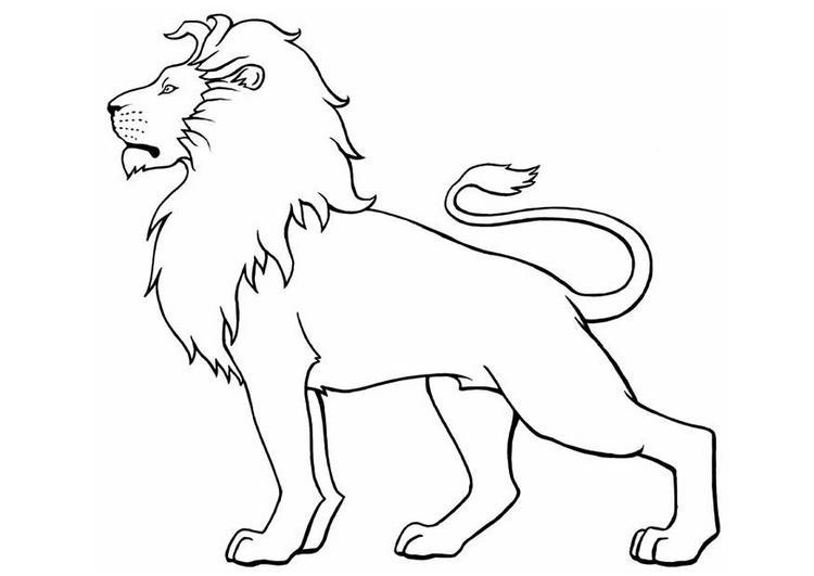 Dibujo para colorear: El León. Dibujo para colorear: El León.