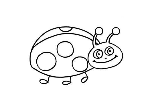 Maestra de Infantil: Las mariquitas. Características, formas, alimentación.  Gifs animados, dibujos para colorear. Clipart