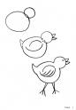 dibujo Como dibujar un Pollito