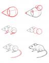 dibujo Como dibujar un ratoncillo