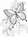 dibujo Mariposas volando en jardin