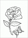 dibujo Rosa con mariposa