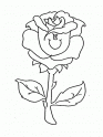 dibujo Rosas 07