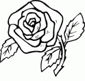 dibujo Rosas 08