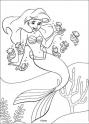 dibujo Sirenita y los caballitos de Mar
