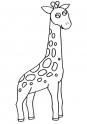 dibujo jirafa