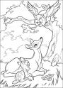 dibujo Bambi y su Mam hablan con Buho