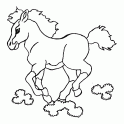 dibujo Caballo 05