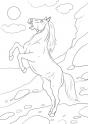 dibujo Caballo 12