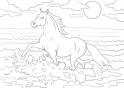 dibujo Caballo 13
