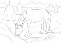dibujo Caballo 15
