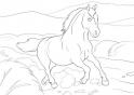 dibujo Caballo 18