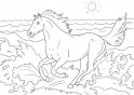 dibujo Caballo 22