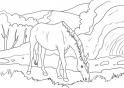 dibujo Caballo 24
