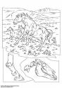 dibujo Caballos Salvajes