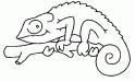 dibujo Camaleon 01