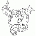 dibujo Camaleon 03