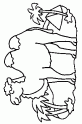 dibujo Camello 04