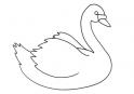 dibujo Cisne