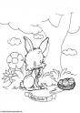 dibujo Conejito de Pascua 03