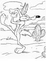 dibujo Coyote 01