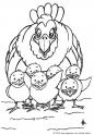dibujo Gallina con polluelos 07