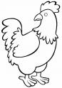 dibujo Gallo 01