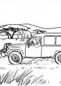 dibujo Guarda Reserva 12