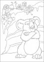 dibujo Koala 01