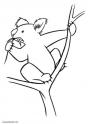 dibujo Koala 02