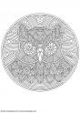 dibujo Mandalas 81 Buho