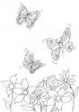 dibujo Mariposas