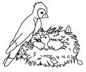 dibujo Pajarillo en nido 01