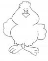 dibujo Polluelo 01