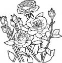 dibujo Rosas 09