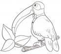 dibujo Tucan 01