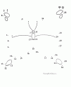 dibujo Unir los puntos - Mariposa