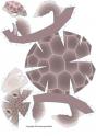 dibujo Tortuga 